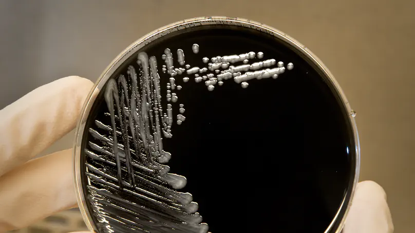 Examining Flint: New research highlights lack of legionella public policy