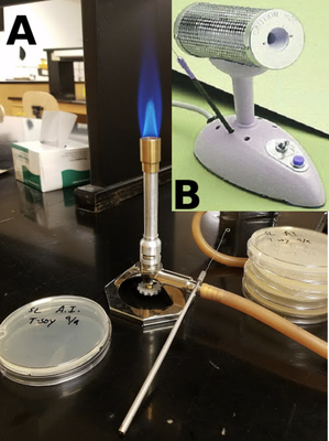Figure 3. A) Set up for aseptic technique in a microbiology lab with a Bunsen burner, inoculating loop, and agar plates. [Source](https://commons.wikimedia.org/wiki/File:Inoculating_bacteria_in_a_college_microbiology_lab.jpg). B) Tabletop incinerator for inoculating loops. [Source](https://commons.wikimedia.org/wiki/File:Bacti-Cinerator.jpeg).