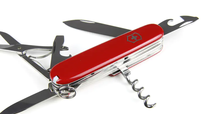 Siderophores: Bacterial Swiss Army knives